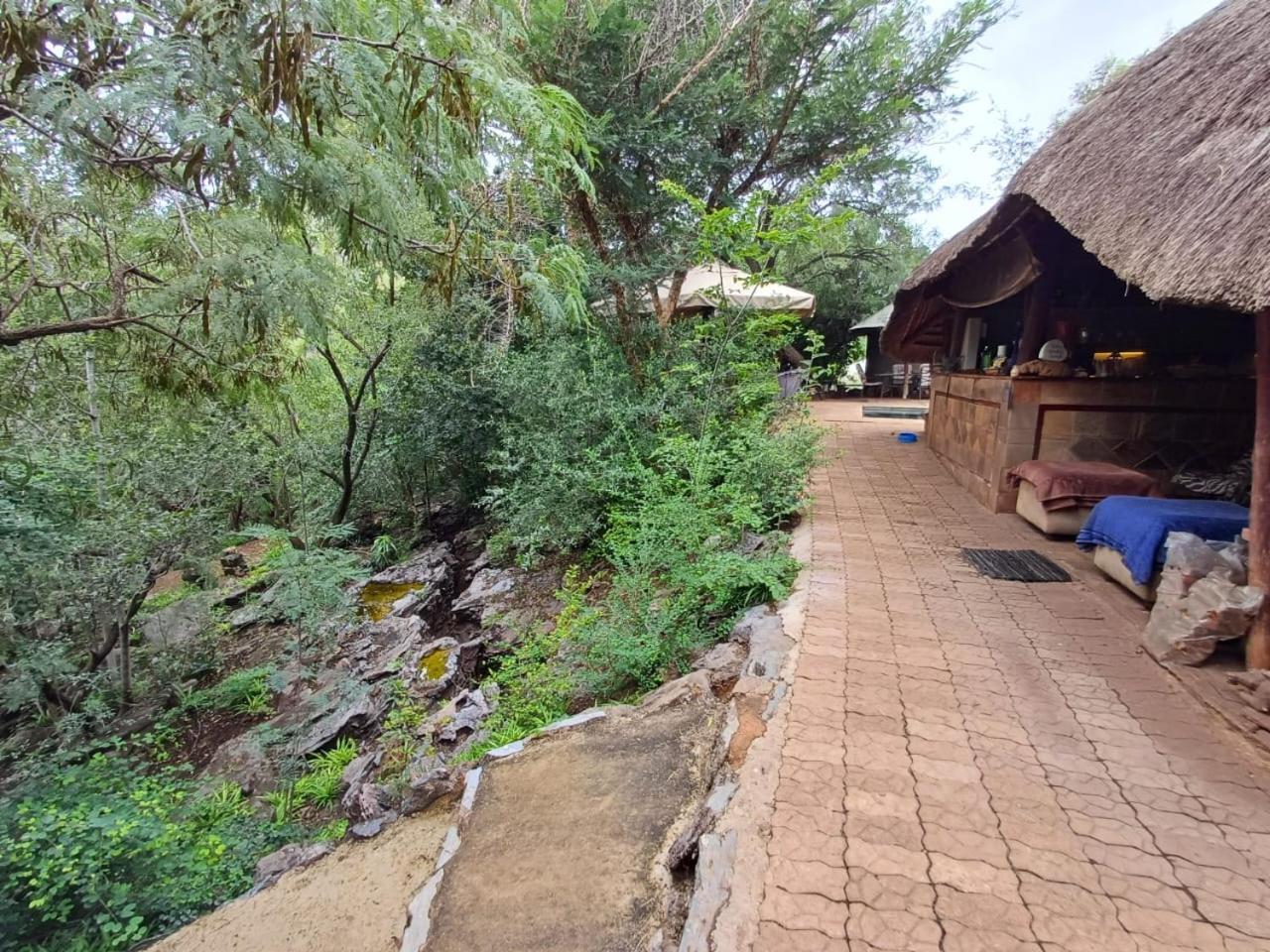 Adorable Unique Guest House - African Bush Feel Kalkheuvel Exterior foto